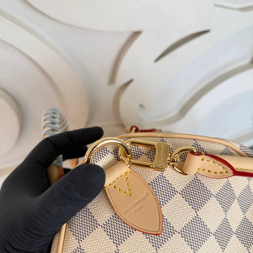 Louis Vuitton Speedy Soft 30
