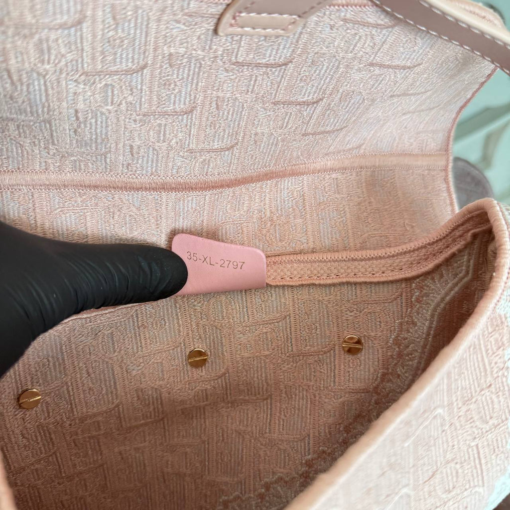 Christian Dior Dioramour Saddle Canvas Crossbody Bag